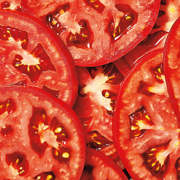 Tomates Frescos
